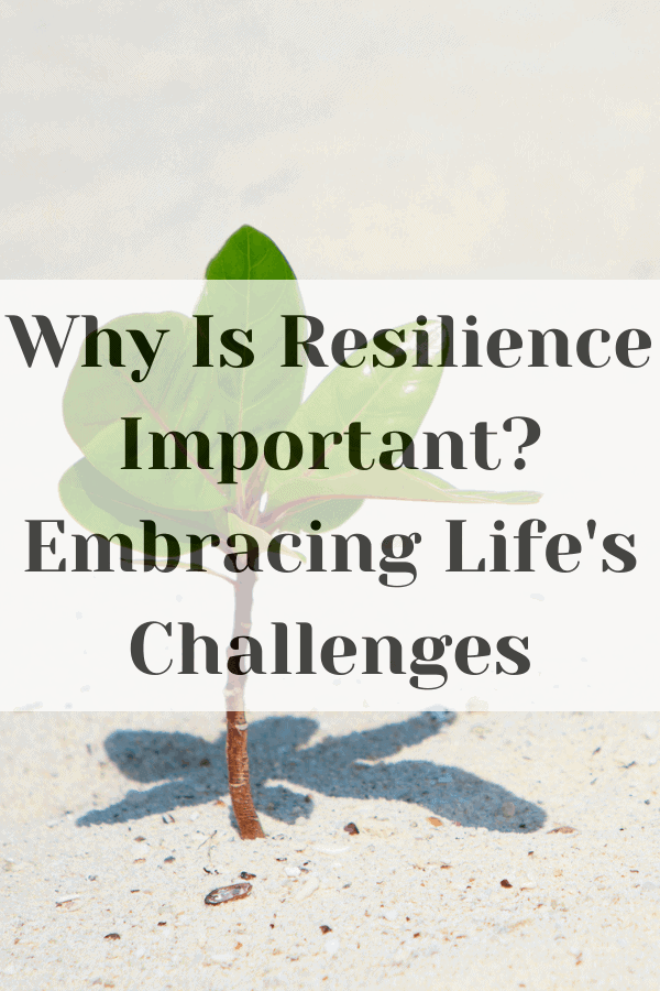 Why Is Resilience Important? Embracing Life’s Challenges
