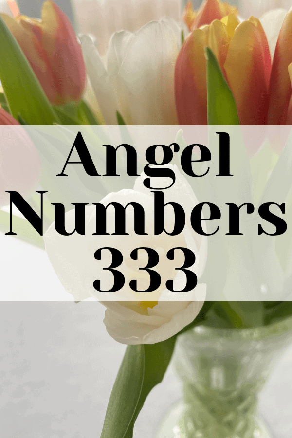 The Magic of Angel Numbers 333